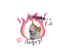 183552474