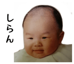 18363277