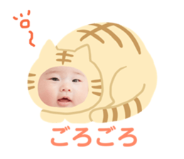183760013