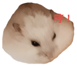 183768247