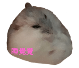 183768250