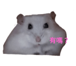 183768252