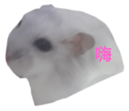 183768253