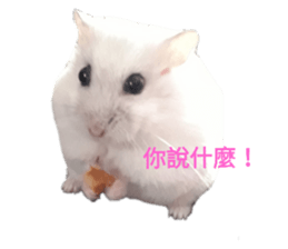 183768254