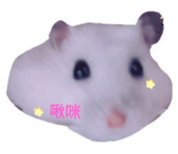 183768258