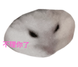 183768260