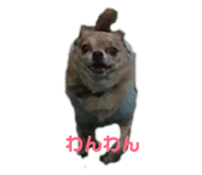 183867059