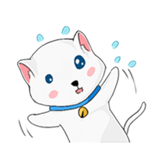 White Dance Kitty รูปที่ 8