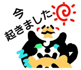 184017507