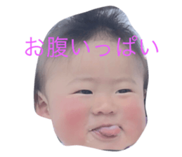 18402032
