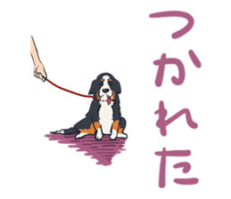 184103008