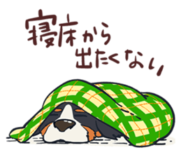 184103018