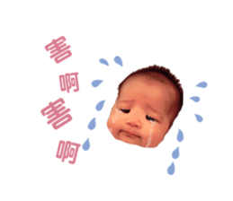 184151669