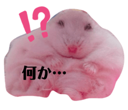 184158887