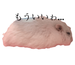 184158892