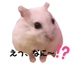 184158896