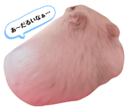 184158897