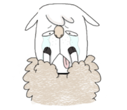 1843023