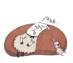 1843034