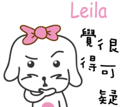 184311312