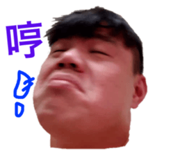 184323474