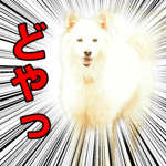 18445977