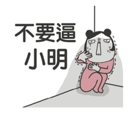 184556025