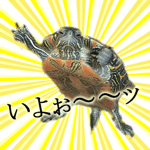 18462170