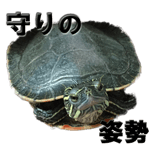 18462171