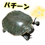 18462173