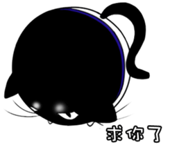 18463834