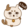 18470874