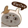 18470890