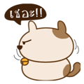 18470893