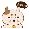 18470894