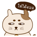 18470895