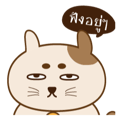 18470900