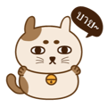 18470904