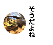 184721628