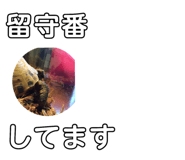 184721636