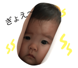 18479312