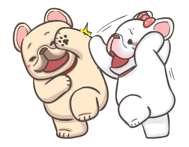 พิกุ - เฟรนช์ บูลด็อก 8 รูปที่ 16