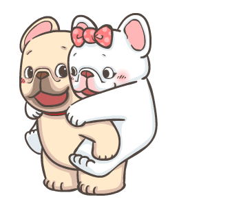 พิกุ - เฟรนช์ บูลด็อก 8 รูปที่ 18