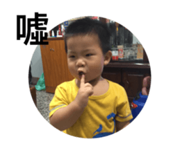 184856326