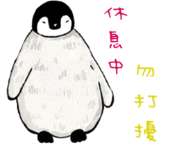 184986153