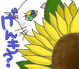 18503294