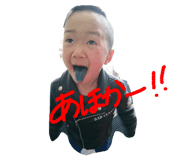 18503530