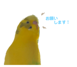 185189614