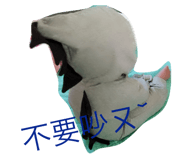 185211116