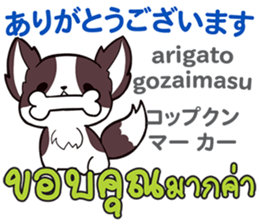 18521990